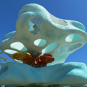 Explorers Reef - Brown-banded Bamboo Shark Touchtank