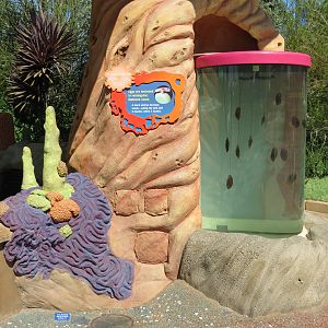 Explorers Reef - Bamboo Shark Egg Tank