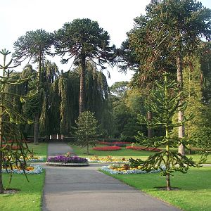 A pleasant evening in the gardens, 13th September 2014
