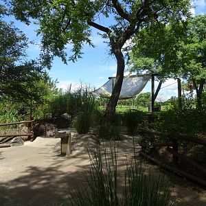 Serengeti Plain Viewing Area at Busch Gardens Tampa