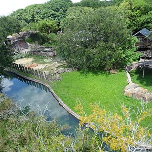 Hippopotamus Exhibit From Above at Busch Gardens Tampa