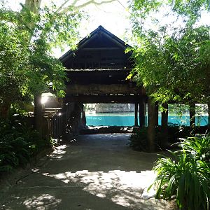 Hippopotamus Exhibit Viewing Area at Busch Gardens Tampa