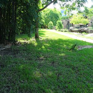 Cheetah Exhibit at Busch Gardens Tampa
