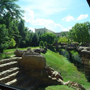 Cheetah Exhibit at Busch Gardens Tampa