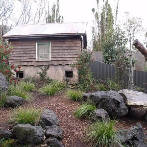 Tasmanian Devil Enclosure