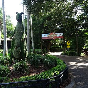 Entrance to Walkabout Way at Busch Gardens Tampa