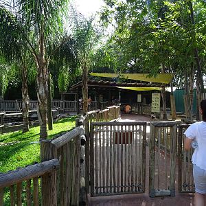General View of Walkabout Way at Busch Gardens Tampa