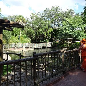 General View of Walkabout Way at Busch Gardens Tampa