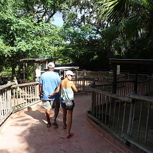 General View of Walkabout Way at Busch Gardens Tampa