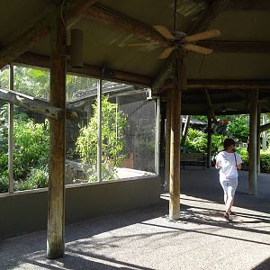 Kookaburra's Nest Walkthrough Aviary Exterior at Busch Gardens Tampa