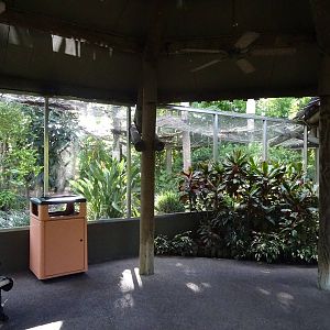 Kookaburra's Nest Walkthrough Aviary Exterior at Busch Gardens Tampa