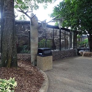 Knobbed Hornbill Aviary at Busch Gardens Tampa