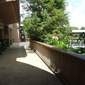 Immediate View Upon Entry at Gatorland