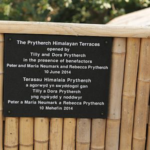 Himalayan Terrance Dedication