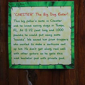 Sign About Chester the Dog Eater at Gatorland