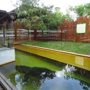 Chester the Dog Eater's Exhibit at Gatorland