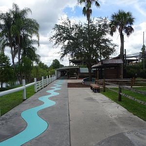 General View of Gatorland