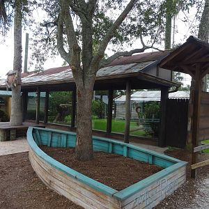 Bobcat Bayou Viewing Area at Gatorland