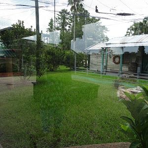 Bobcat Bayou at Gatorland