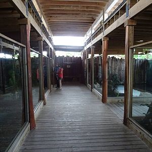 General View of White Gator Swamp at Gatorland