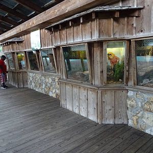 Snakes of Florida at Gatorland