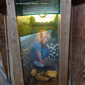 Baby Water Moccasin Exhibit at Gatorland