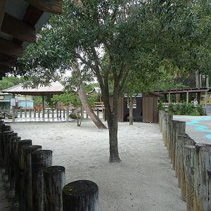 Tortoise Exhibit at Gatorland