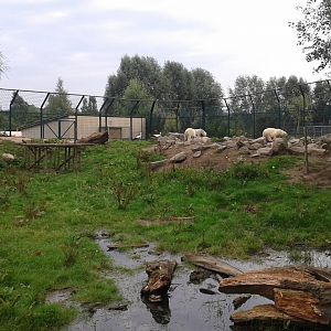 One of the Polar bear enclosures