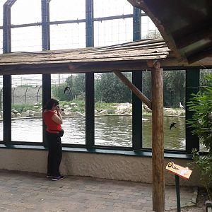 Viewing point Polar bears