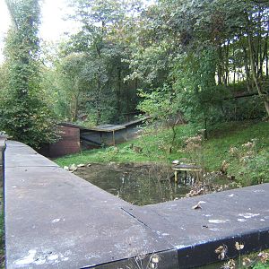 View of Otter enclosure design