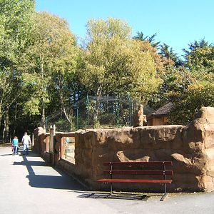 View of Aardvark and Stanley Crane enclosure