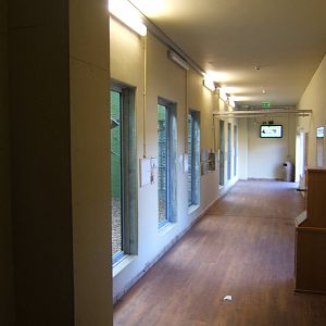 View inside the Orang House