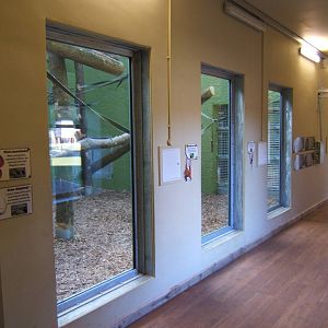 View inside the Orang House