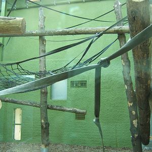 View inside the Orang House