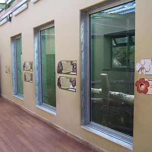View inside the Orang House