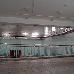 Elephant house interior
