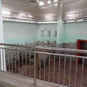 Elephant house viewing area