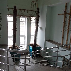 Elephant house interior - stairs to 2nd floor