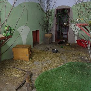 Oriental small-clawed otter exhibit