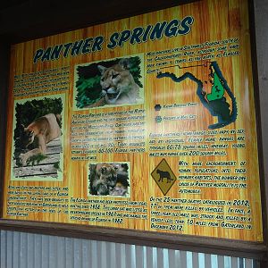 Panther Springs Signage at Gatorland