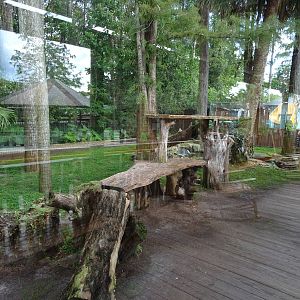 Panther Springs - Panther Exhibit at Gatorland