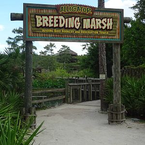 Entrance to the Breeding Marsh at Gatorland