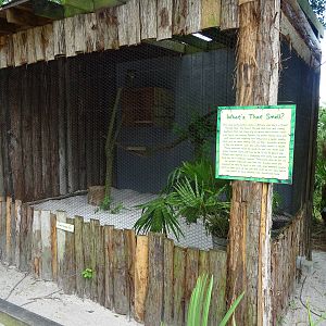 Great Horned Owl Exhibit at Gatorland