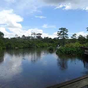 General View of Breeding Marsh at Gatorland