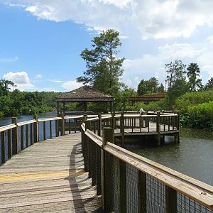 General View of Breeding Marsh at Gatorland