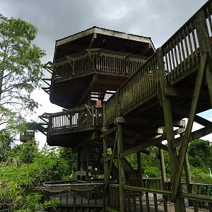 Observation Tower at Gatorland