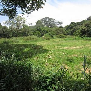 Rhino enclosure
