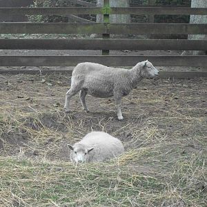 Wednesday evening in a hole for April, 17th September 2014