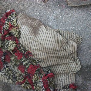 Oh no, the cushion too, 19th September 2014