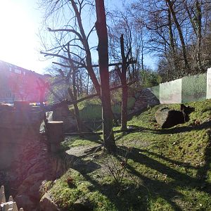 red panda exhibit - Karlsruhe Zoo